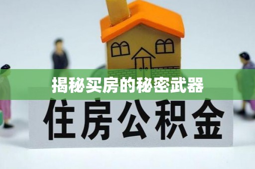 寿县揭秘买房的秘密武器