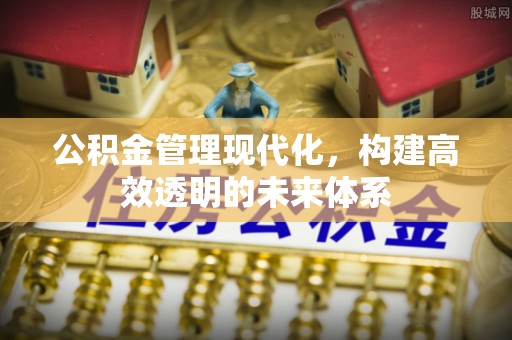寿县公积金管理现代化，构建高效透明的未来体系