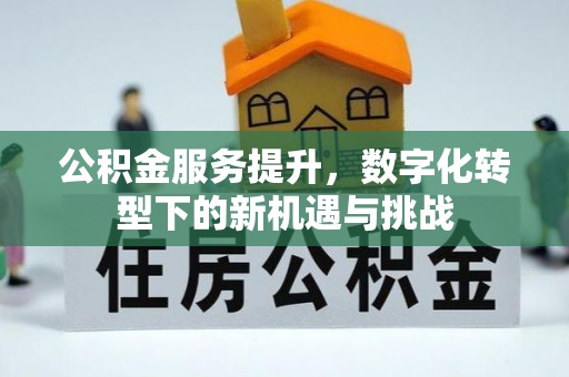 寿县公积金服务提升，数字化转型下的新机遇与挑战