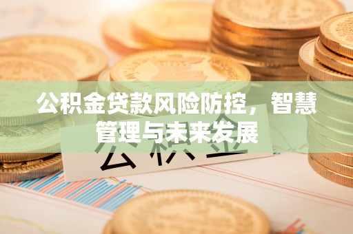 寿县公积金贷款风险防控，智慧管理与未来发展