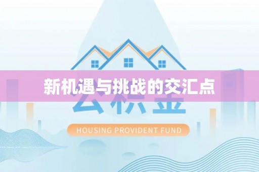 寿县新机遇与挑战的交汇点